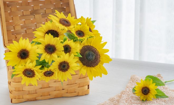 🌞夏こそ見直しどき！快適な住まいを保つためのメンテナンスとプチリフォーム