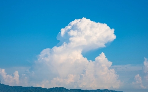 夏の風景