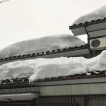 雪災の様子