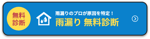 雨漏り 無料診断