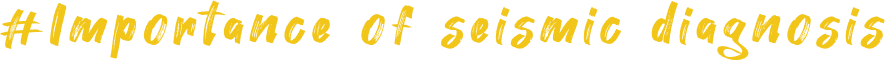 #History of Seismic Standards