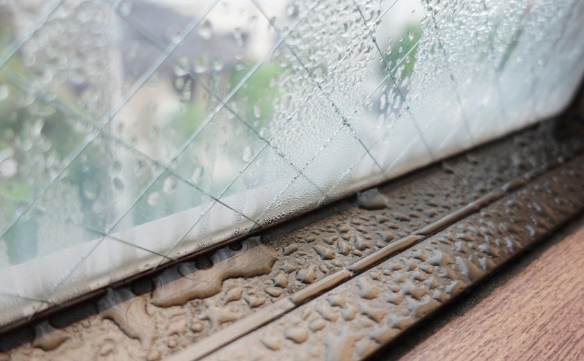 結露によるカビやダニの発生のリスク