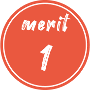 merit 1