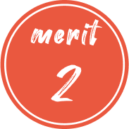 merit 2