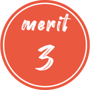 merit 3