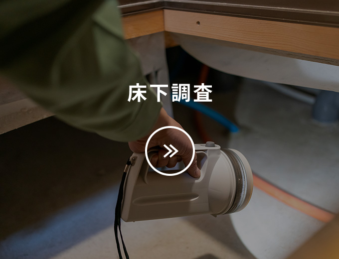 床下調査