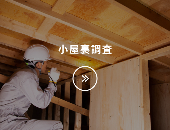 小屋裏調査